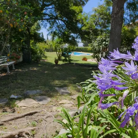 ヴィラ 6 Bedroom Villa With Private Pool In Countryside!